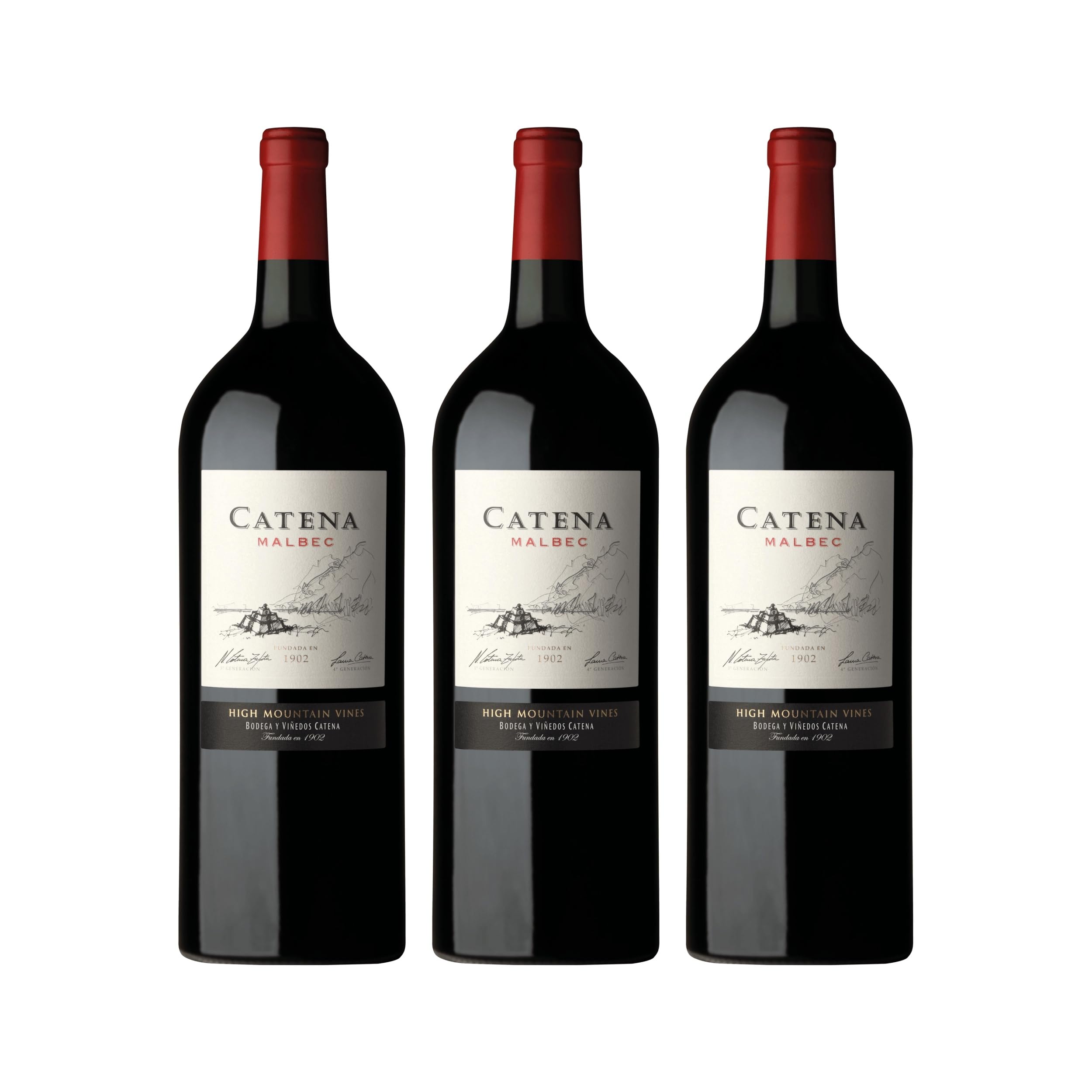 Catena Zapata Malbec Magnum Rotwein Rot trocken Argentinien inkl. FeinWert E-Book (3 x 1.5 l)
