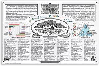 The Healing Web Health Natural Remedies Poster Cool Artworks Painting Wall Art Canvas Prints Hanging Picture Home Decor Posters UnFramed-1,24x36inch(60x90cm)