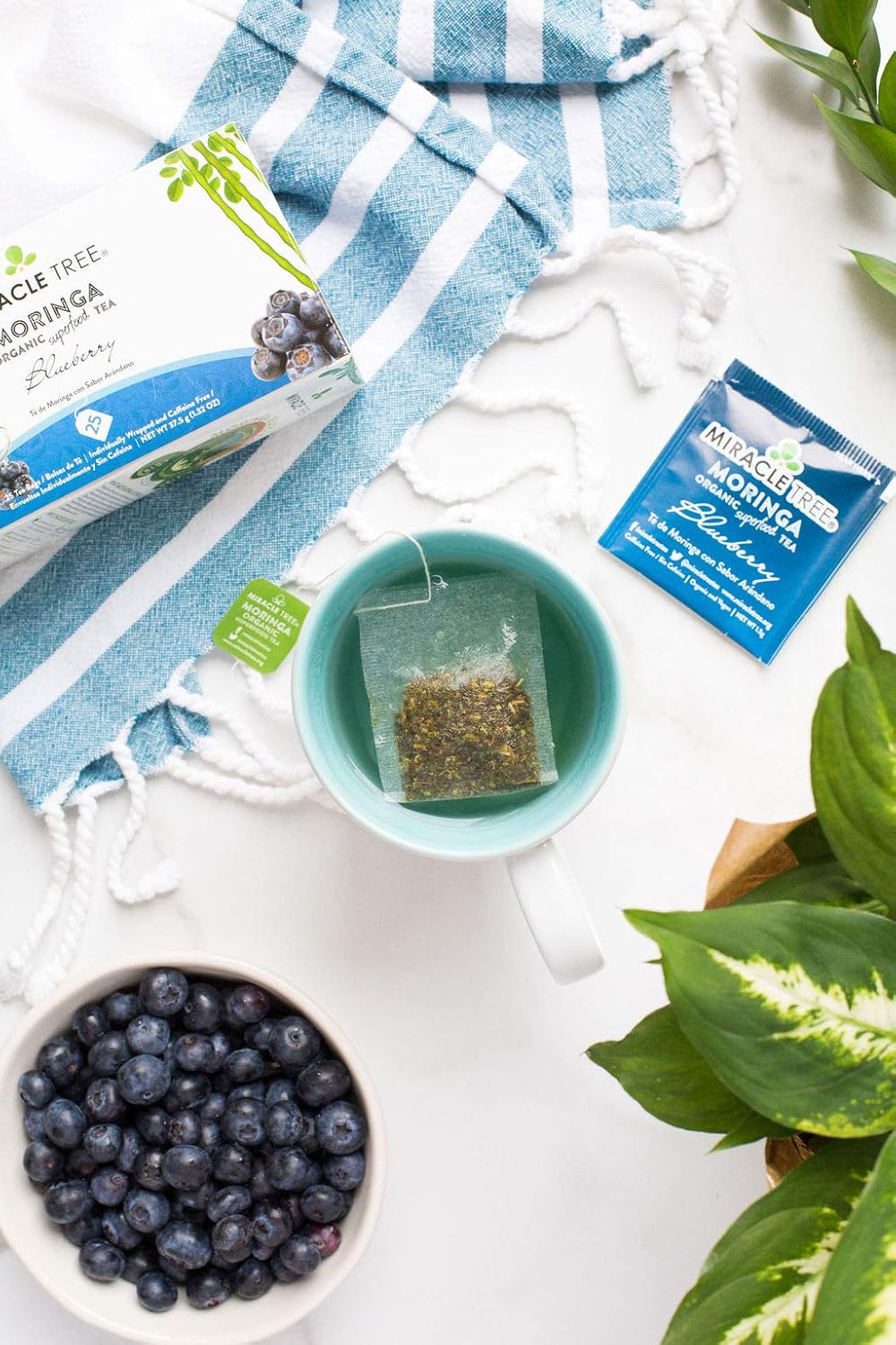 Miracle Tree - 6 Count of Organic Moringa Superfood Tea, 25 Individually Sealed Tea Bags, Blueberry (Keto, Detox, Energy/Immunity Booster, Vegan, Gluten-Free, Organic, Non-GMO, Caffeine-Free)