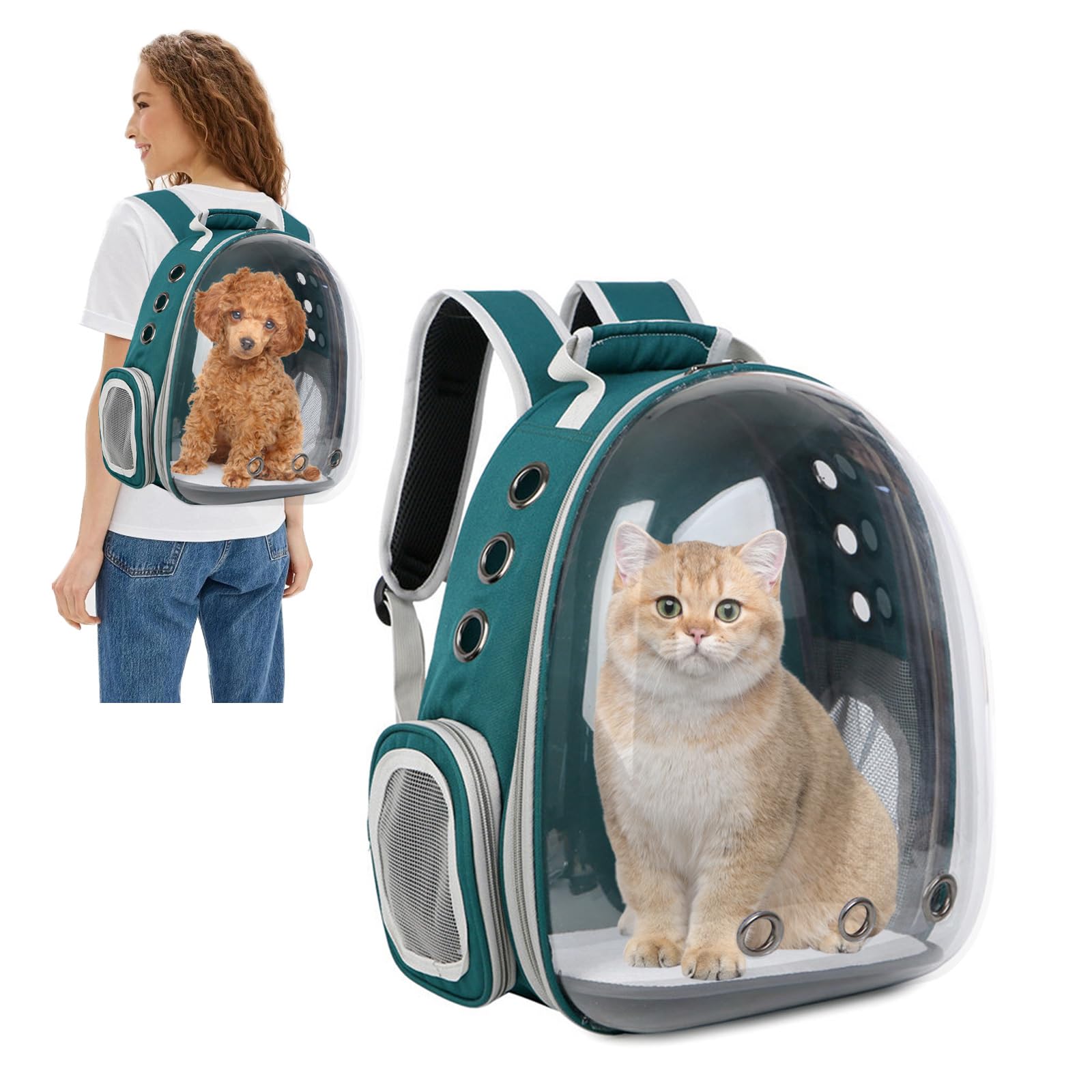 PETCUTE Cat Backpack,Expandable Cat Capsule Carrying Backpack, Transparent Pet Bubble Carrier Front Pack with 9 Venting Hole Breathable, For Cat Dog Outdoor Hiking and Traveling Green