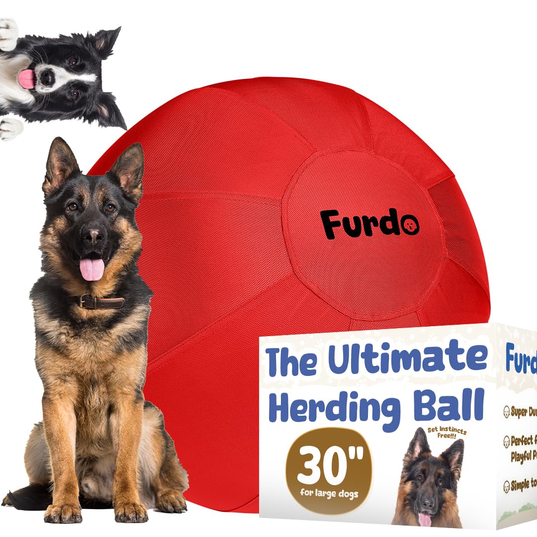 30 Herding Ball for Dogs for Australian Shepherd for Cattle for Border Collie for Blue Heelers Medium to