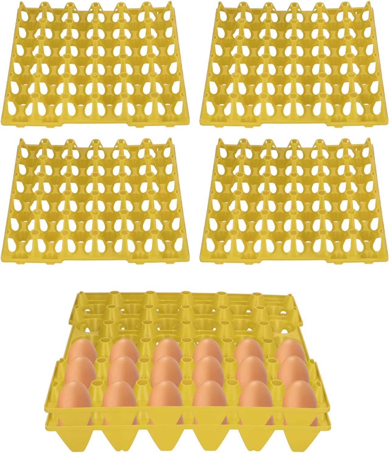 In Welchen Müll Kommen Eierkartons Ingbertson Eierkartons für Eier/Eierschachteln für Hühnereier ohne