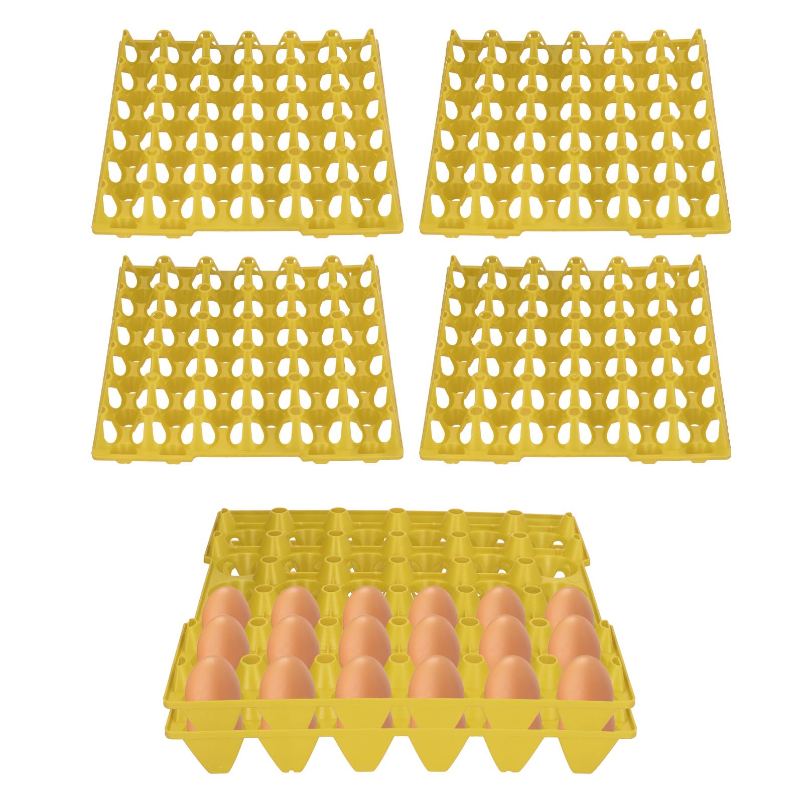 BigKing - Caja de almacenamiento de huevos, 5 piezas, caja de almacenamiento de huevos apilable, 30 celdas, bandeja de soporte para transporte de almacenamiento, suministros de granja a casa