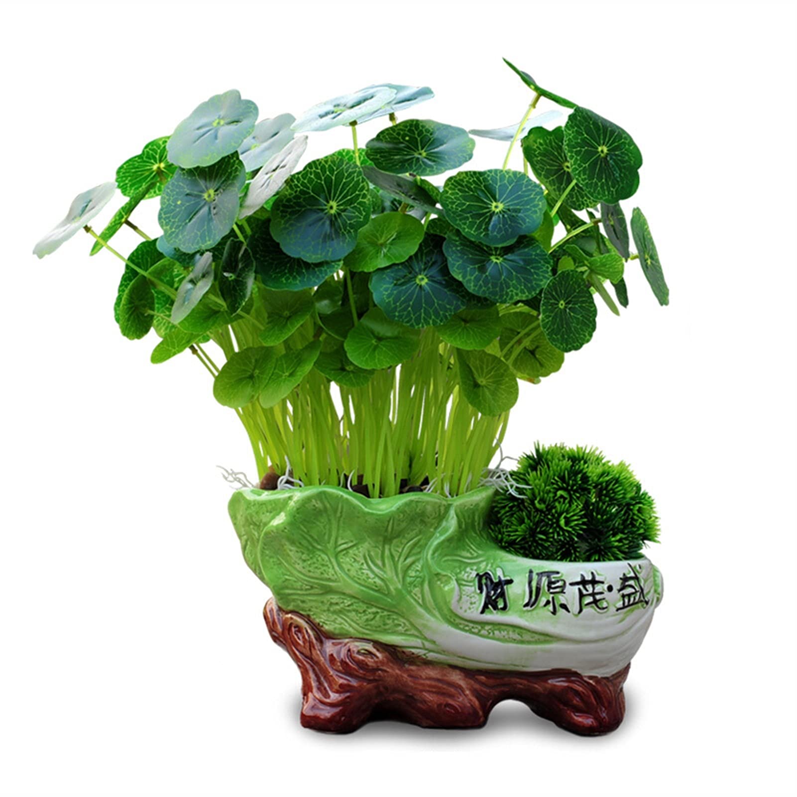 Plantes artificielles pour salon et bureau : sublimez votre décor intérieur