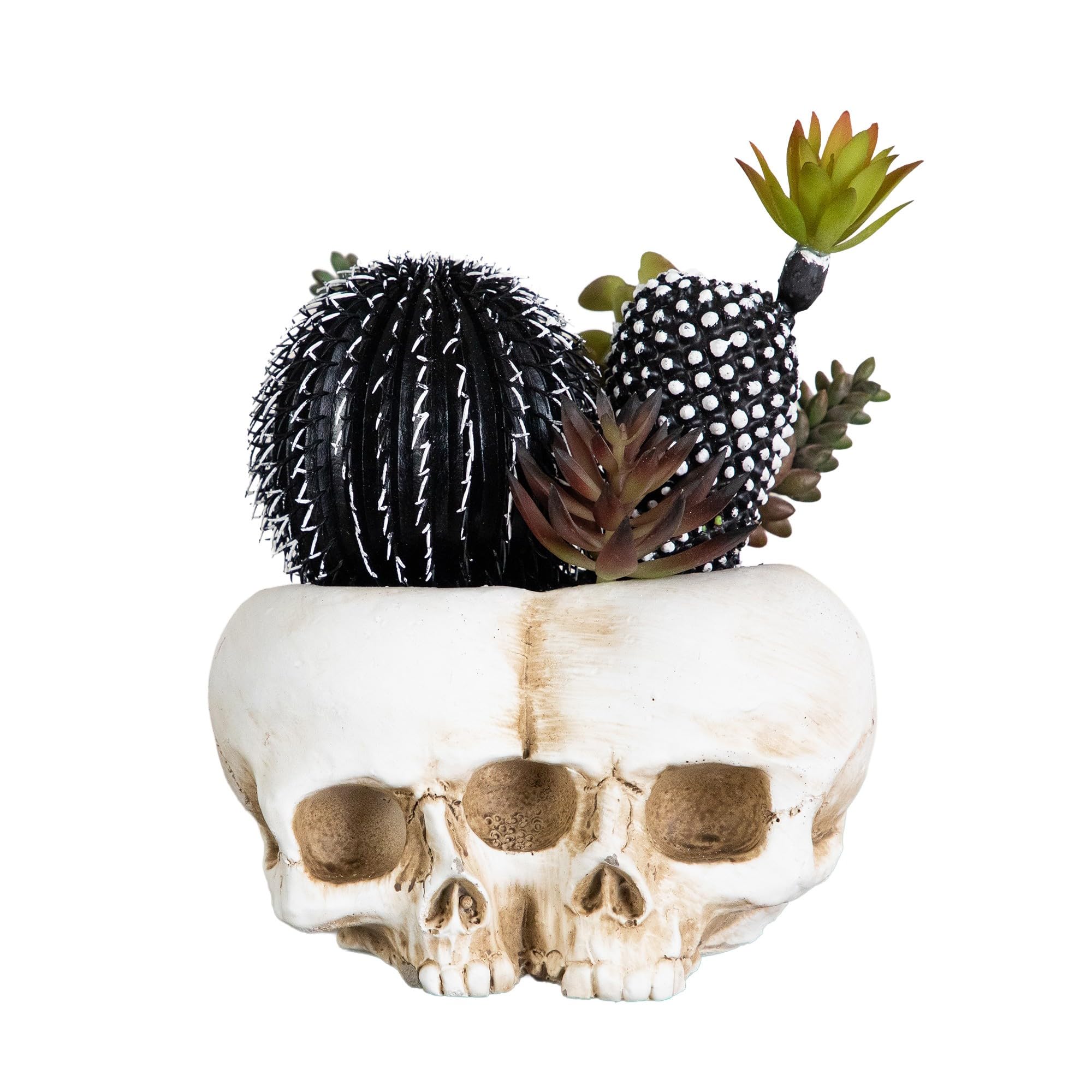 Nearly Natural 8in. Artificial Halloween Succulent in Skull Planter