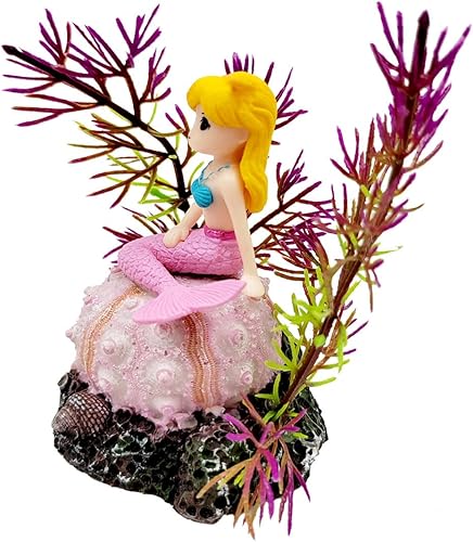 Miniatura 4 de EKUEY Decoraciones de caracolas de pecera, decoración de plantas de acuario, adornos de coral de concha marina