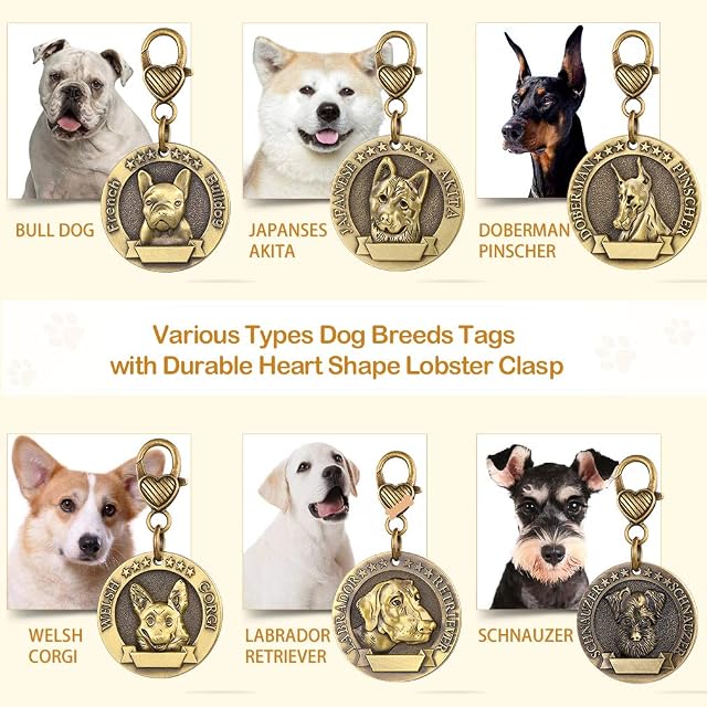 Foto 5 de 7 de Custom4U Placa de Identidad para Perros Etiquetas Redondas Zinc 3D Relieve Dog Tag Personalizado con Nombres…