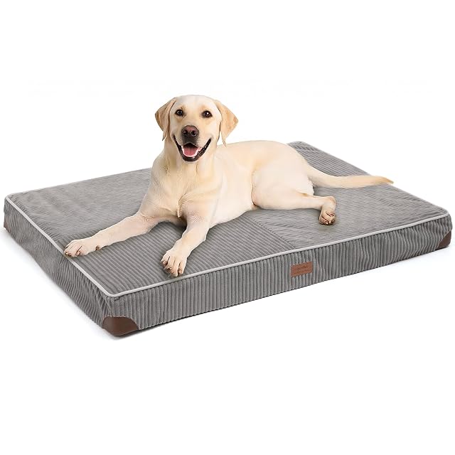 FUKUMARU Cama para Perros Grande Ortopédica, 91x56x9cm, Colchón Lavable para Perro, Sofá Perro Desmontable