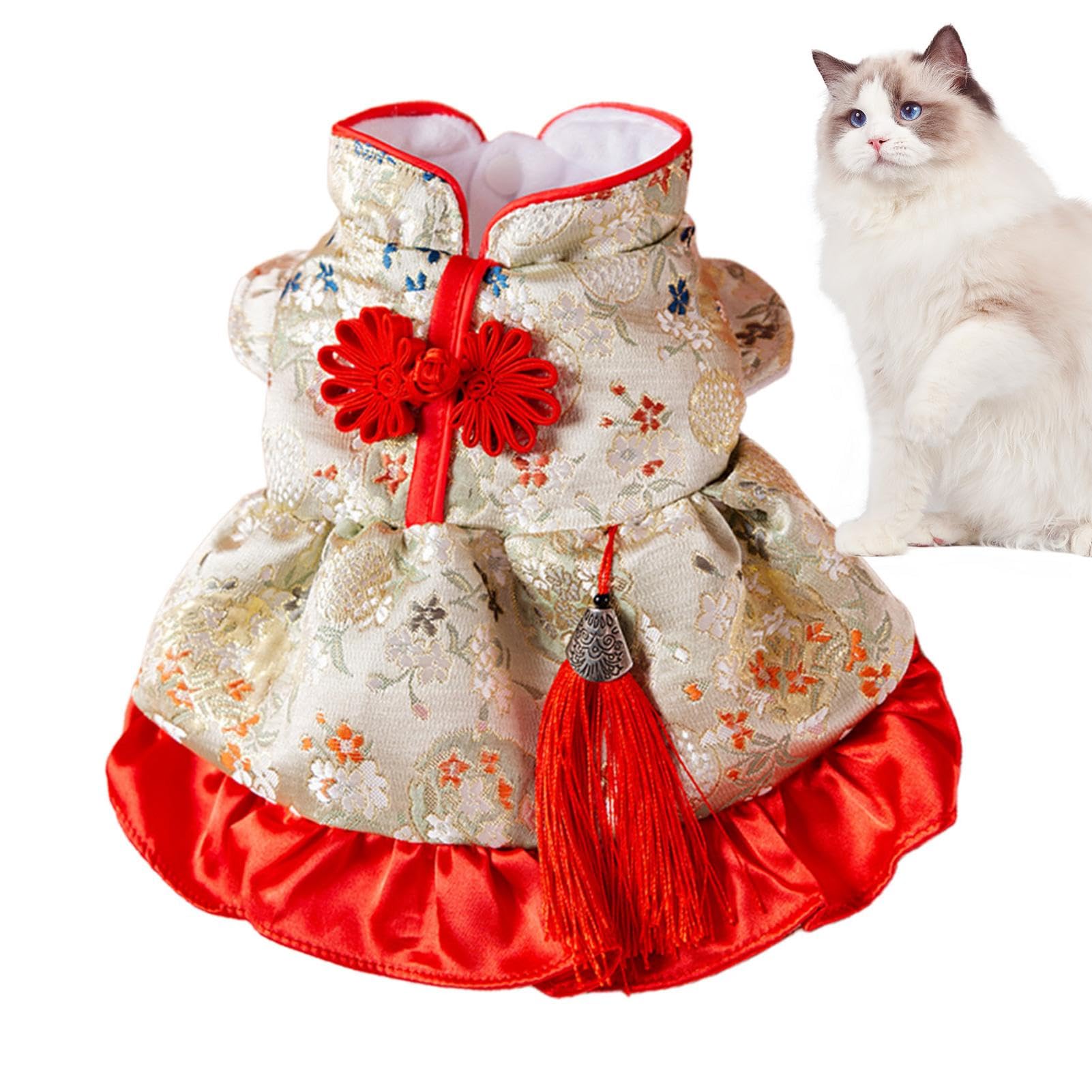 Gato Con Ropa Gato En Traje Traje De Recuperación Para Gatos Traje De Recuperación
