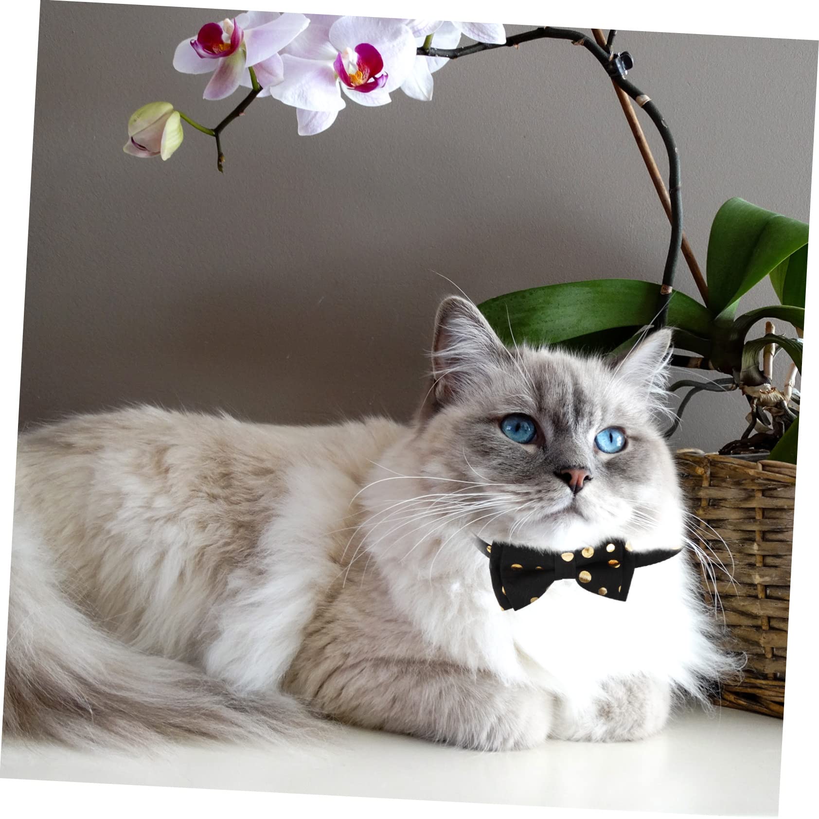 minkissy 4stücke Liebes Katzenhalsband Mit Abnehmbarem Schleifen-Design Waschbar Und Sicher Für Katzen Für Partys Und Festliche Anlässe Mit Glöckchen Für Zusätzlichen Spaß