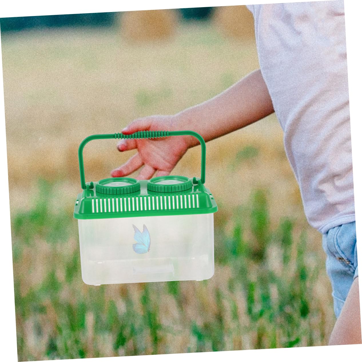 Cabilock 4 Sätze Beobachtungsbox Für Insekten Für Überwachung Halten Kollektor -fangset Insektenfänger Goldfischgreifer Explorer Kit Green Acryl 2 Stück * 4