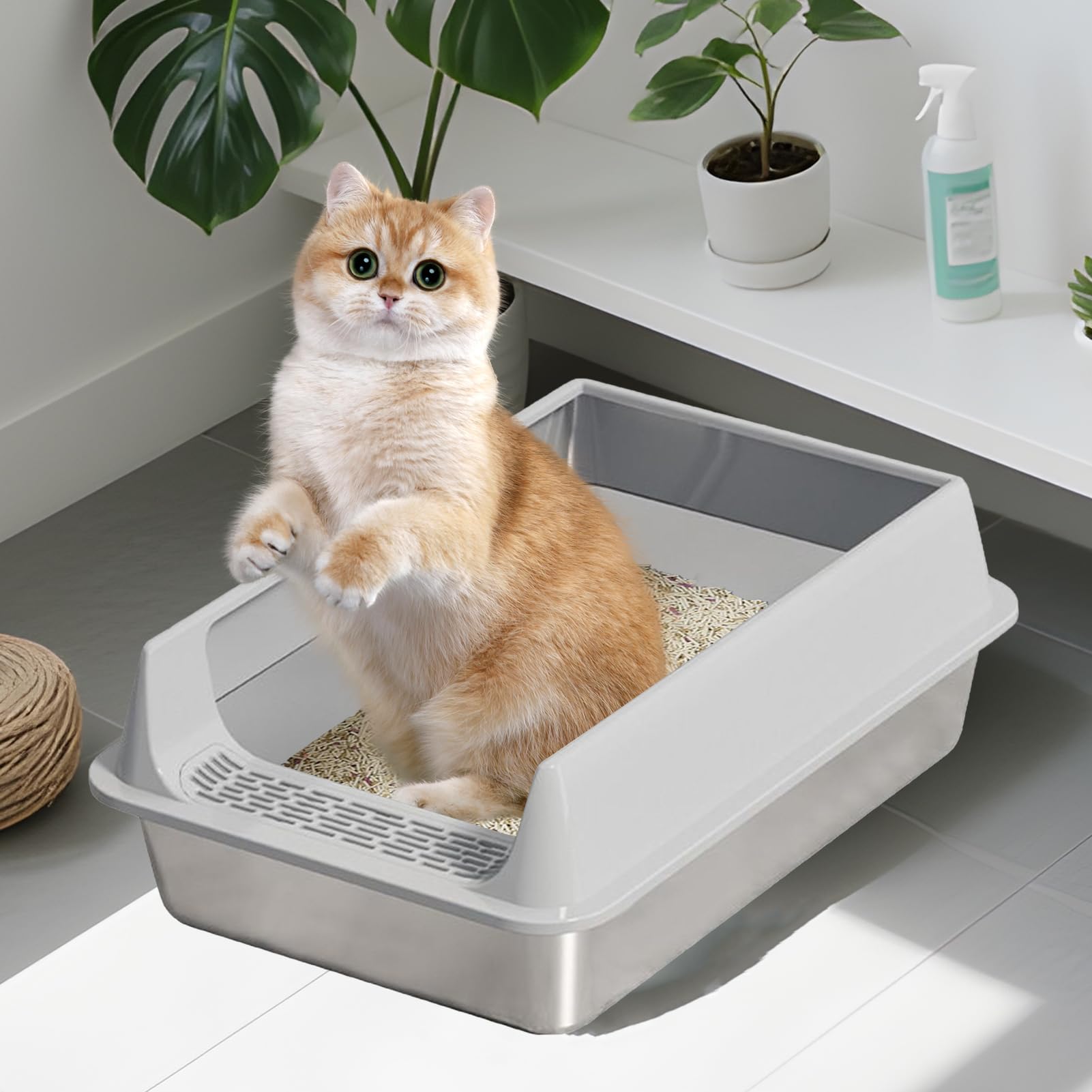 Lettiere Gatti felini anti-perdite di urina piccoli e grandi facili da | Lettiera Grande Antischizzo di con Forniture per Balcone Terrazzo Giardino