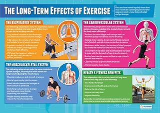 The Long-Term Effects of Exercise | PE Posters | Gloss Paper measuring 850mm x 594mm (A1) | Physical Education Charts for the Classroom | Education Charts by Daydream Education