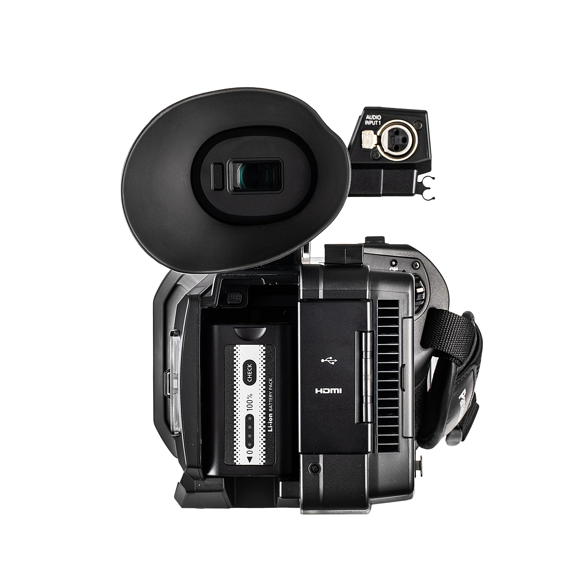 Amazon.com : Panasonic AG-X20ED/HC-X20 4K Professional Camcorder