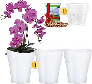 Garten lux 3er-Set Orchideentöpfe Weiß Ø16cm 2L mit 3er-Set Orchideentöpfe mit Drainagelöchen Ø14cm 1L aus Kunststoff und Tongranulat 2,5L für den Innenbereich