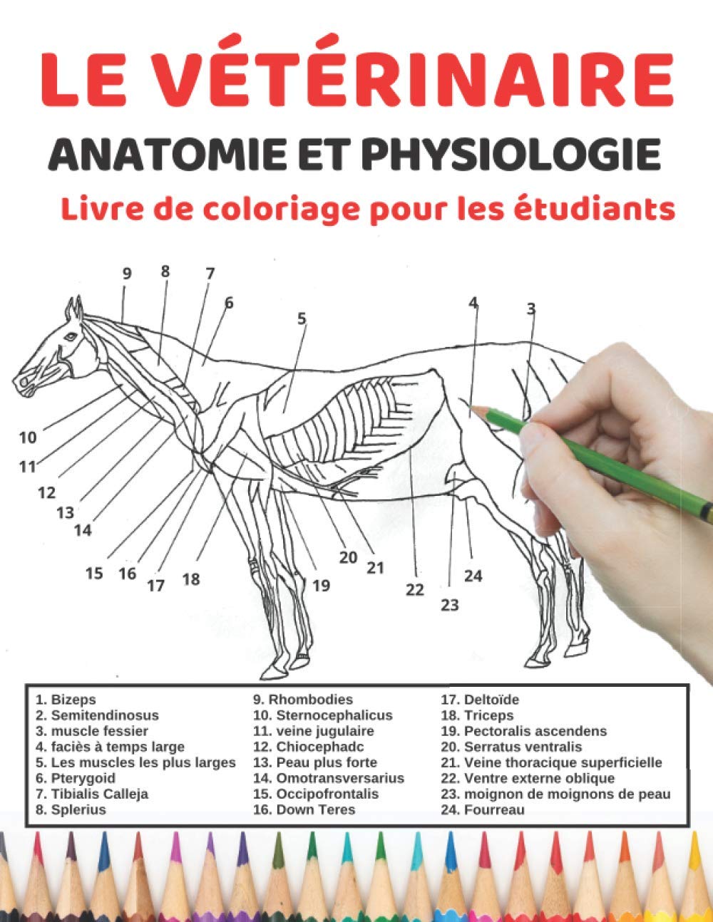 Le vétérinaire Anatomie et physiologie Livre de coloriage pour les étudiants: Un moyen simple et efficace d'apprendre l'anatomie et la physiologie du ... étudiants vétérinaires et même les enfants