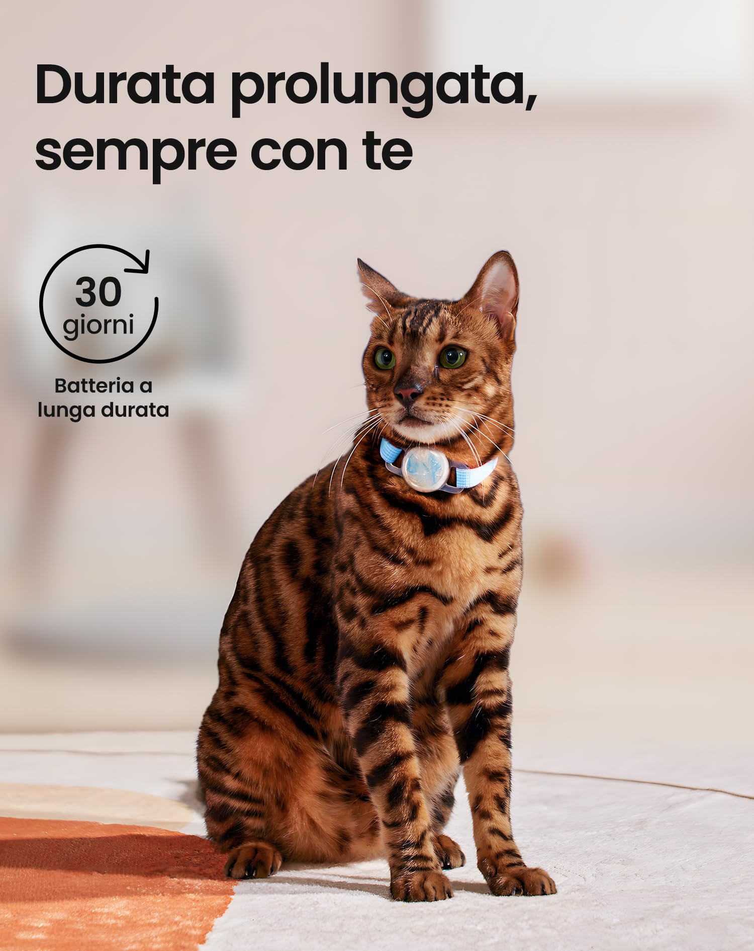 PETGUGU Collare Intelligente Gatto Tracciatore Gatto Monitoraggio di ogni Gatto Per Famiglie con Più Animali Per Fontana Acqua Gatti PF1 Distributore Automatico PF2 Lettiera per Gatti PW5