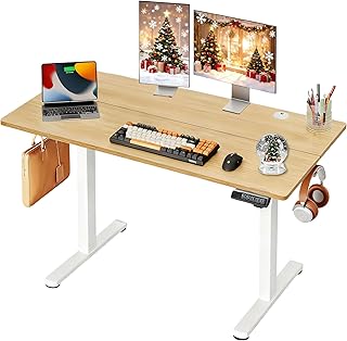 14 Home Office Setup Ideas for Practical Everyday Work 10 DEVAISE 48 Inch Electric Standing Desk, 3 Adjustable Height Stand up Des...