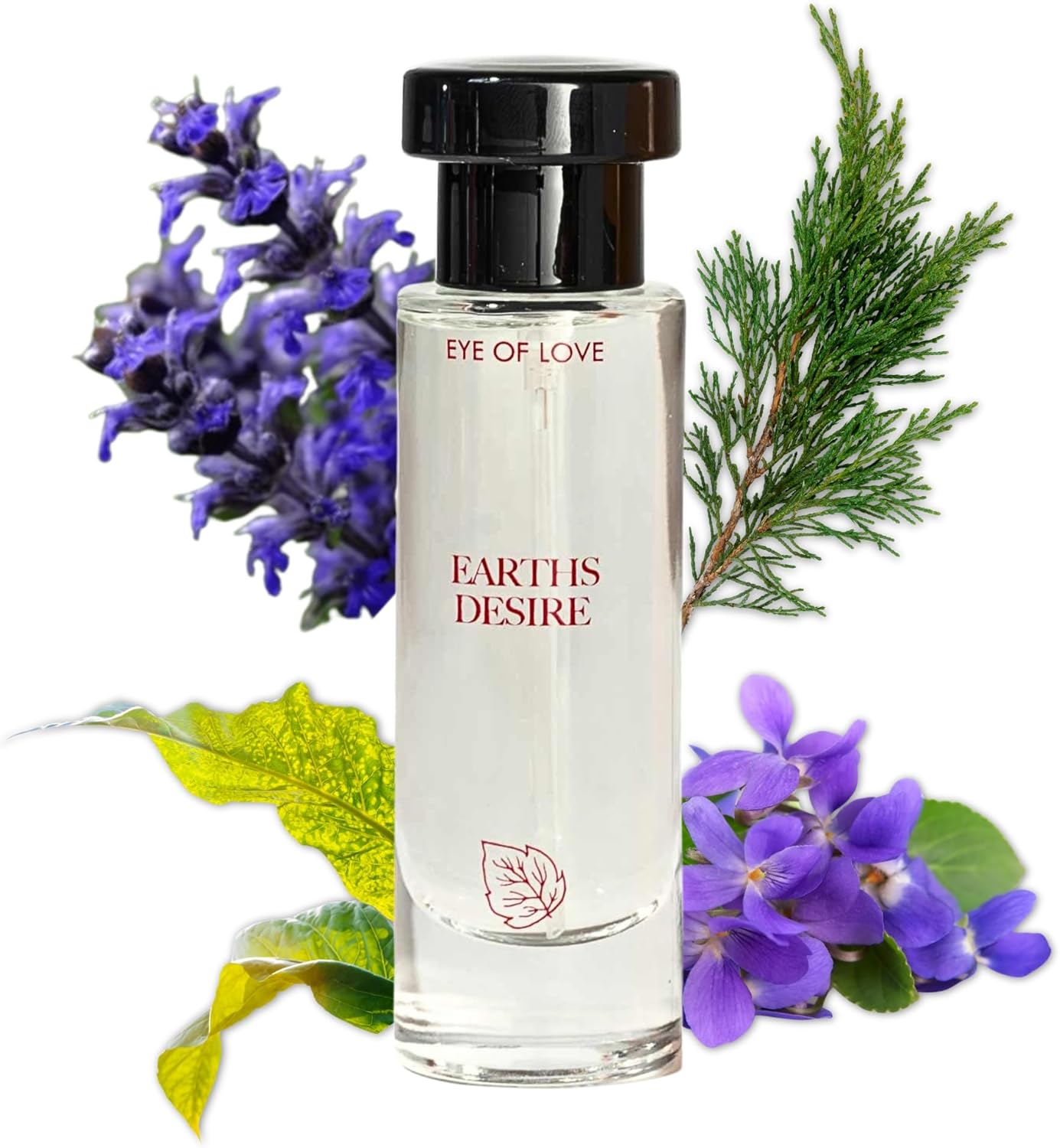 Eye of Love Bloom Earth’s Desire Pheromone Parfum for Men, 30ml, Fresh Woody Citrus Cologne for Daily Wear