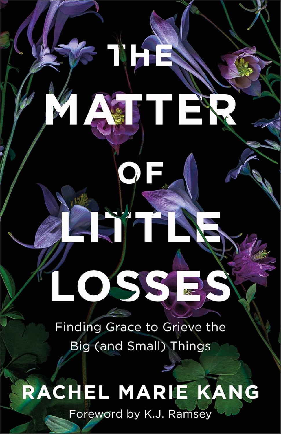 Matter of Little Losses: Finding Grace to Grieve the Big (and Small) Things      Paperback – February 6, 2024