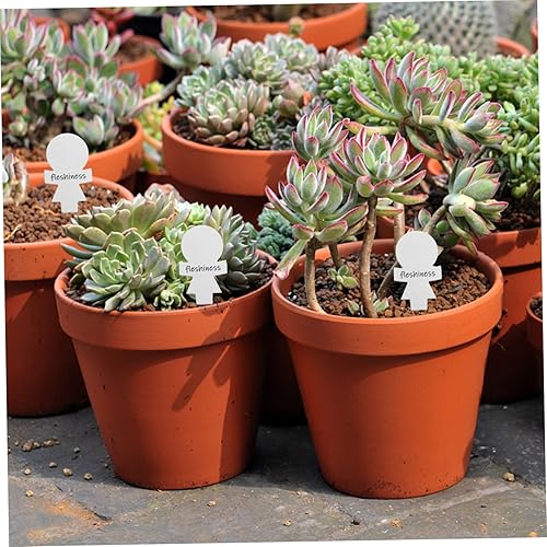 Miniatura 3 de Cabilock 50 etiquetas de metal para plantas, letreros de metal, etiquetas de nombre de plantas de suculentas, etiquetas de acero inoxidable,