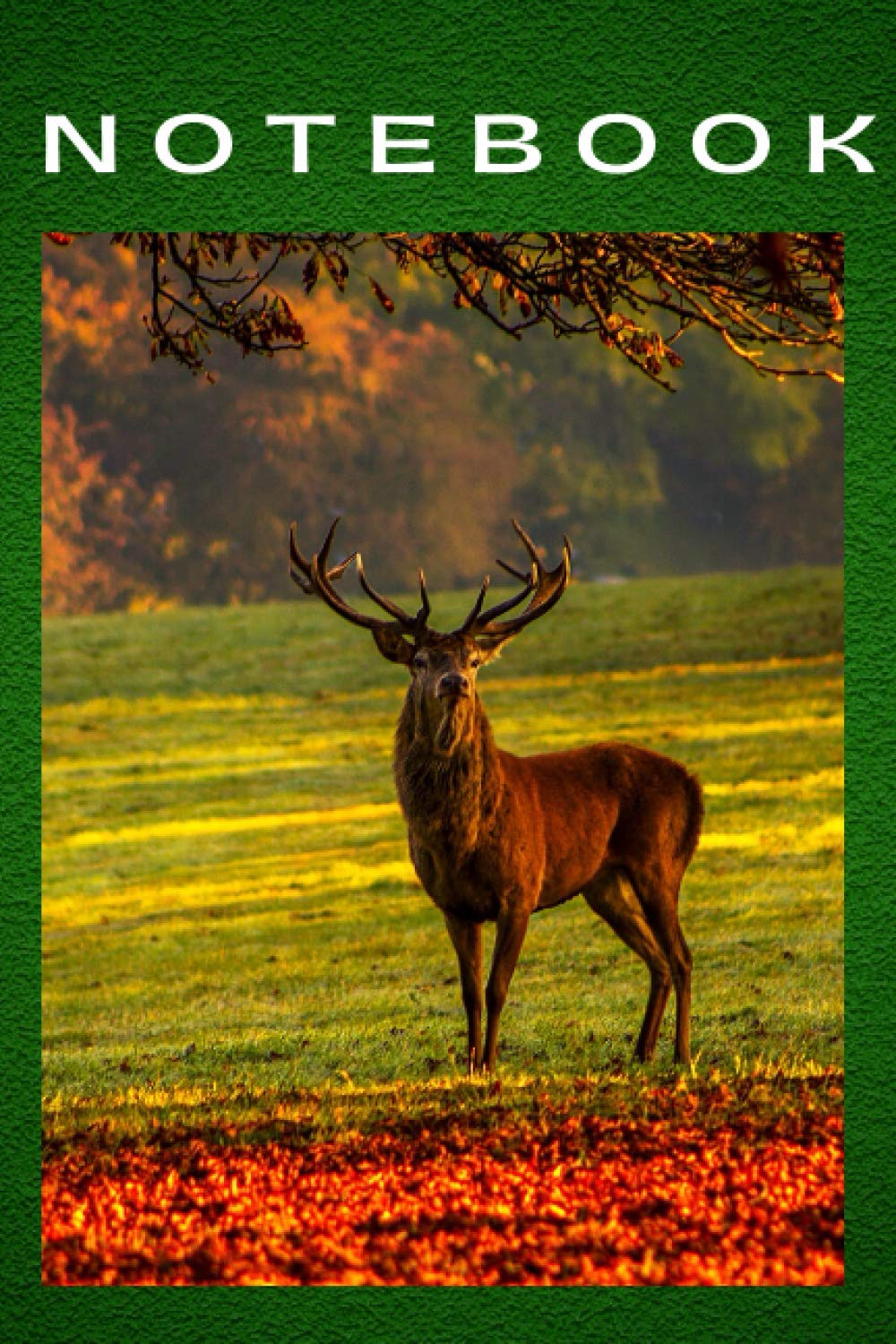 Notebook: Journal Deer Boys Girls Kids Teens Students Writing Notes
