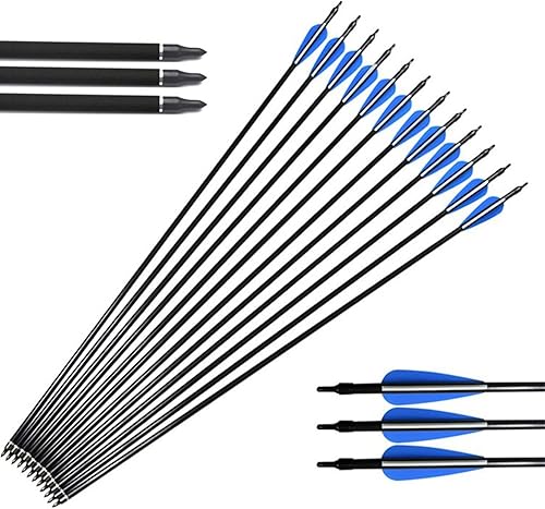 Gpoizmo Flechas de arco de fibra de carbono de 30.0in para arcos compuestos y arcos recurvos con puntas extraíbles para mejorar consejos de práctica