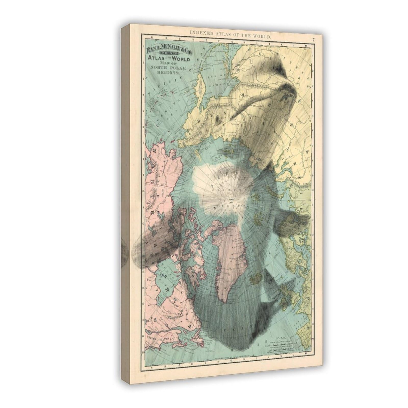 Agthwe Frame-Style Beluga Whale Poster Canvas Poster For Living Room Decor Gift
