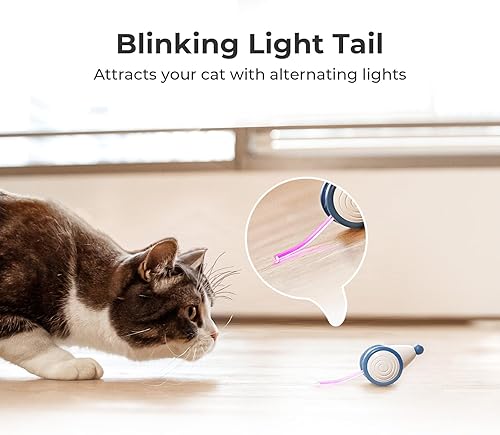 Miniatura 5 de Cheerble Juguetes interactivos para gatos de interior, juguete automático para gatos con luces LED, juguetes de ratón malvado, juguetes para