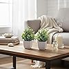 Product Photo 6