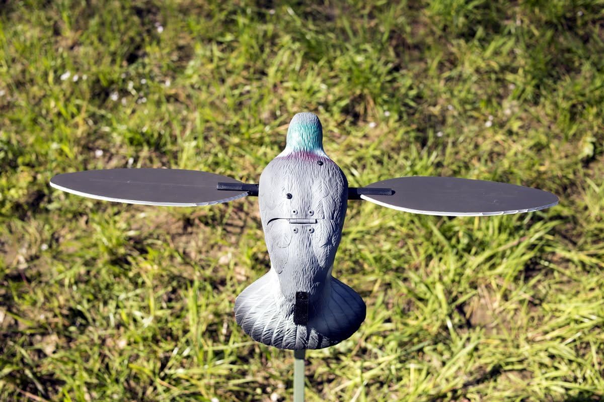Mojo Outdoors Dove Decoys for Dove Hunting