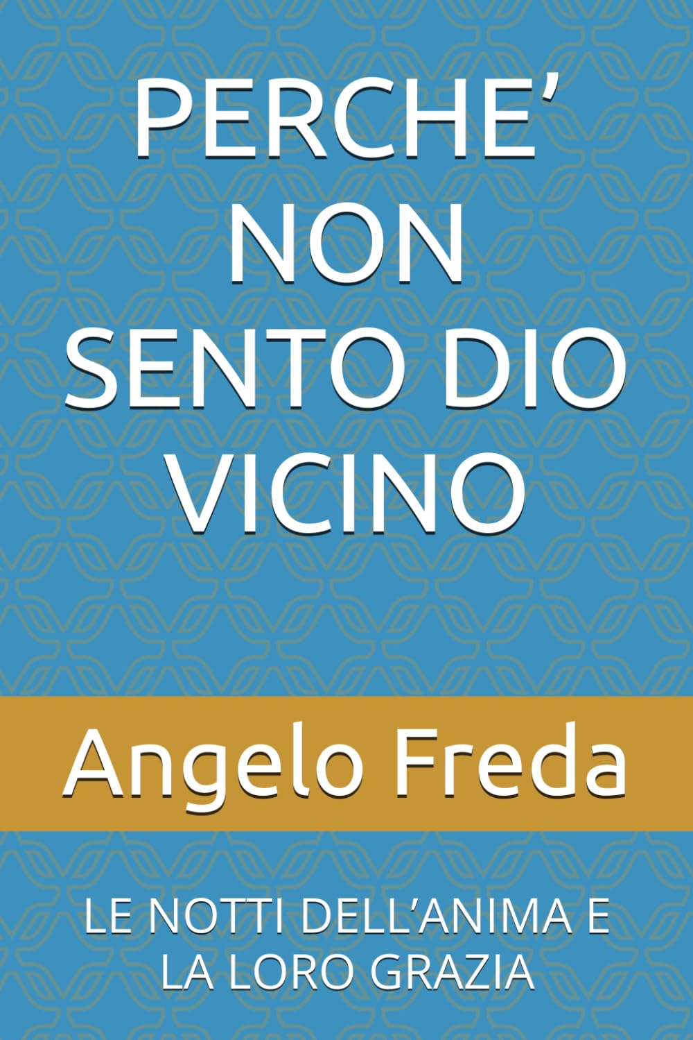PERCHE’ NON SENTO DIO VICINO: LE NOTTI DELL’ANIMA E LA LORO GRAZIA (IL LIBRO DEL PERCHE')