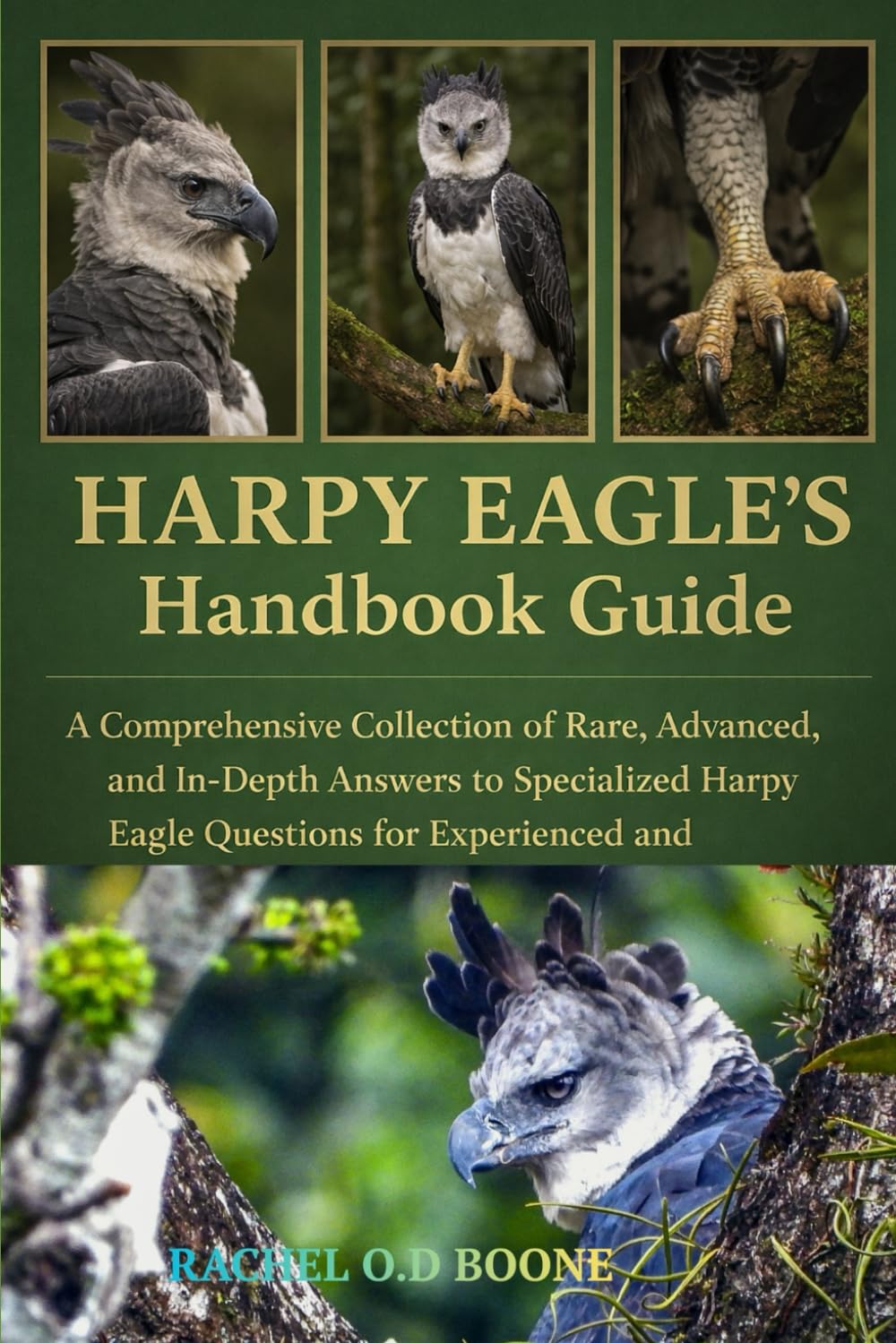 HARPY EAGLE'S HANDBOOK GUIDE: A Comprehensive Collection of Rare, Advanced, and In-Depth Answers to Specialized Harpy Eagle Questions for Experienced and Aspiring Keepers