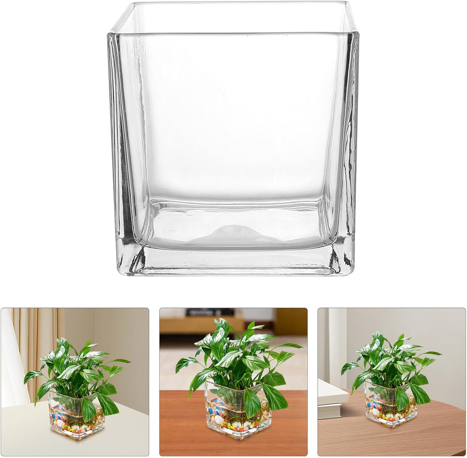 Glass Hydroponic Cube Vase Modern Thick Square Flower Planter for Home Office Decor for Floral Arrangements and Plant Display