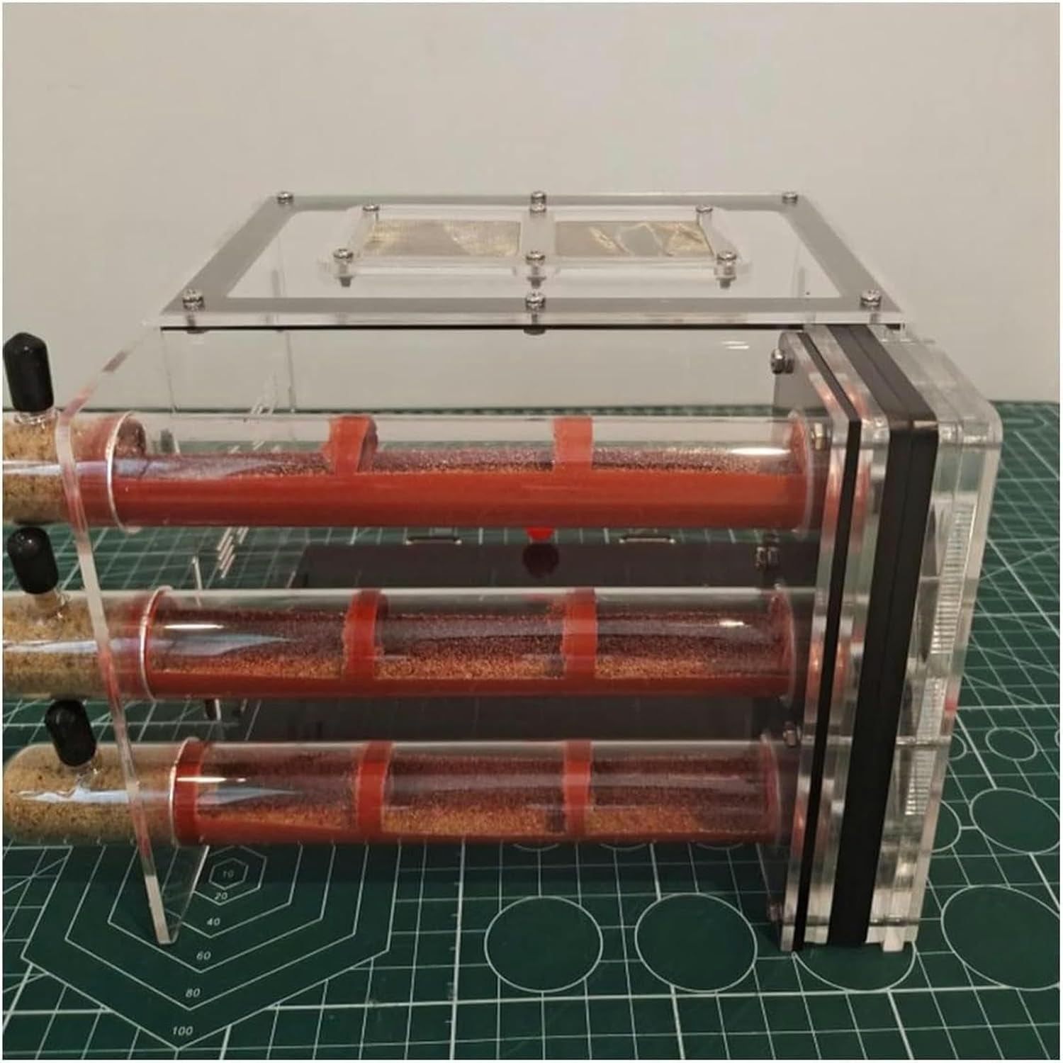 残り1組早い者勝ち ヤマシタ エギ王 秋イカ 新子イカ エギ 3.0 残り1組