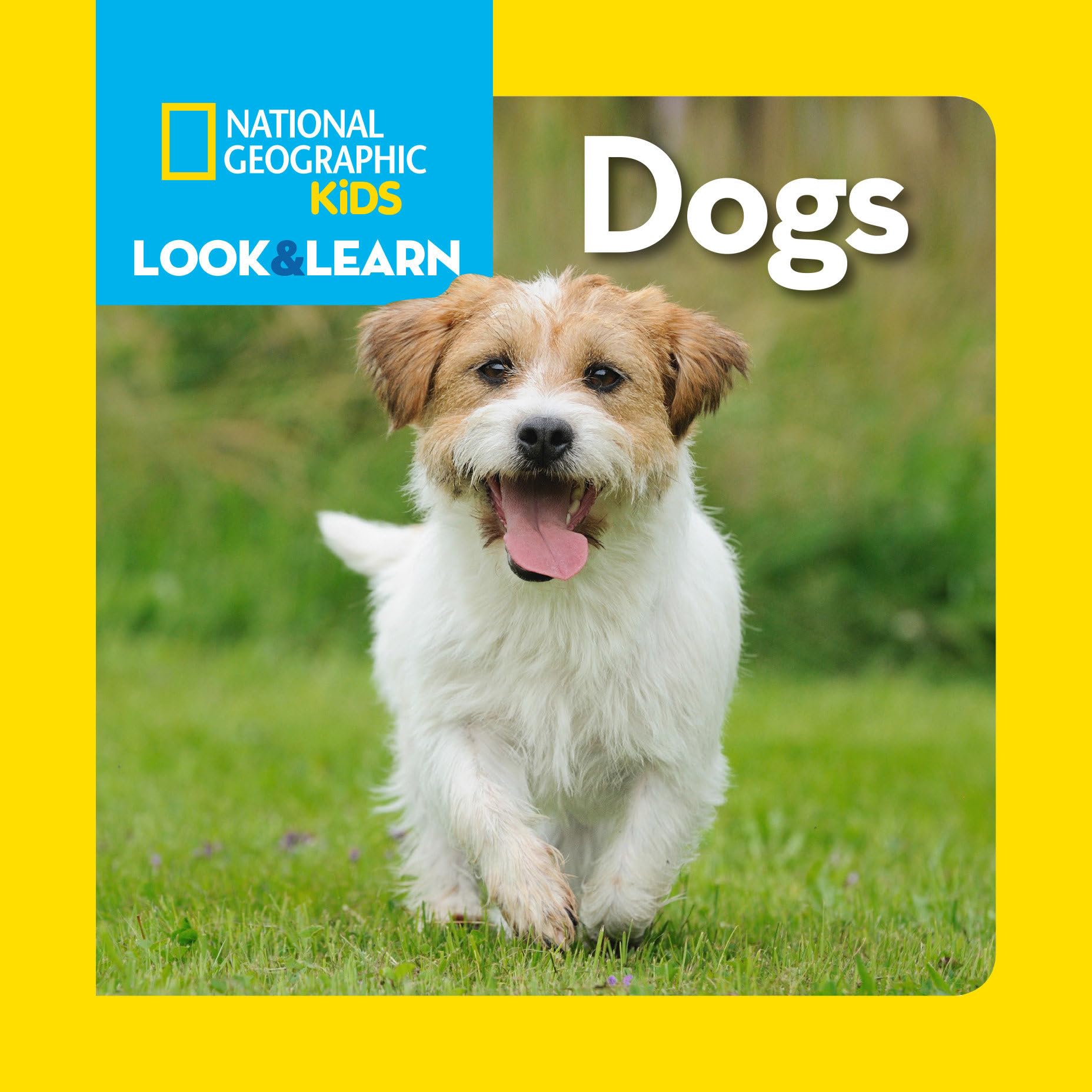 Look and Learn: Dogs (Look&Learn) Board book – Picture Book, 5 Aug. 2014