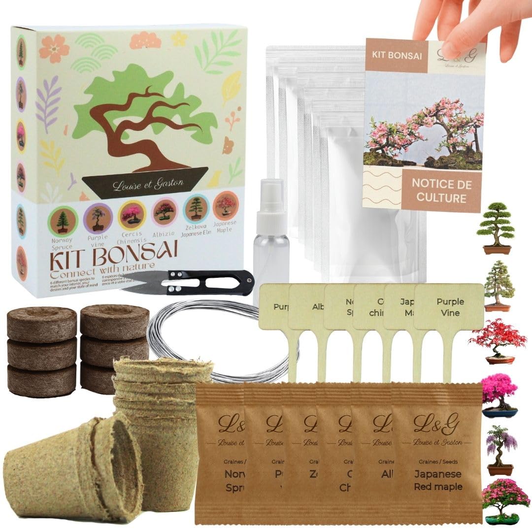 L&G Bonsai Starter Kit – Bonsai Anzuchtset mit 6 wunderschönen, 100% natürlichen Samen – Komplettes Bonsai Zucht Set mit Zubehör – Pflanzset für Anfänger – Bonsai Samen Set, Bonsai Aufzucht Set, Bonsa