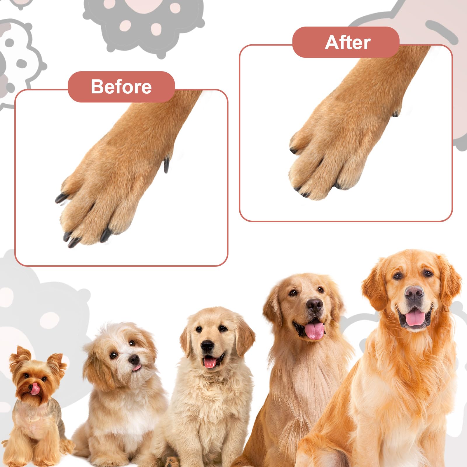 Dog Nail File with 6Pcs Replaceable Filing Disc, Dog Scratch Board for Safe and Easy Nail Care, Dogs Nails Scratch Board Ensures Smooth and Healthy Nails for Dogs and Cats - image 6