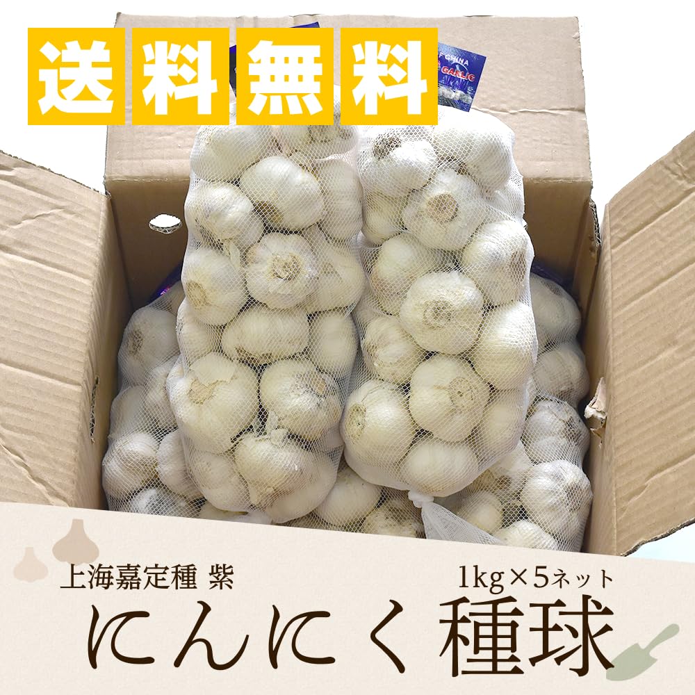 Amazon.co.jp: 上海嘉定種紫 にんにく種球 1kg×5ネット 中国産