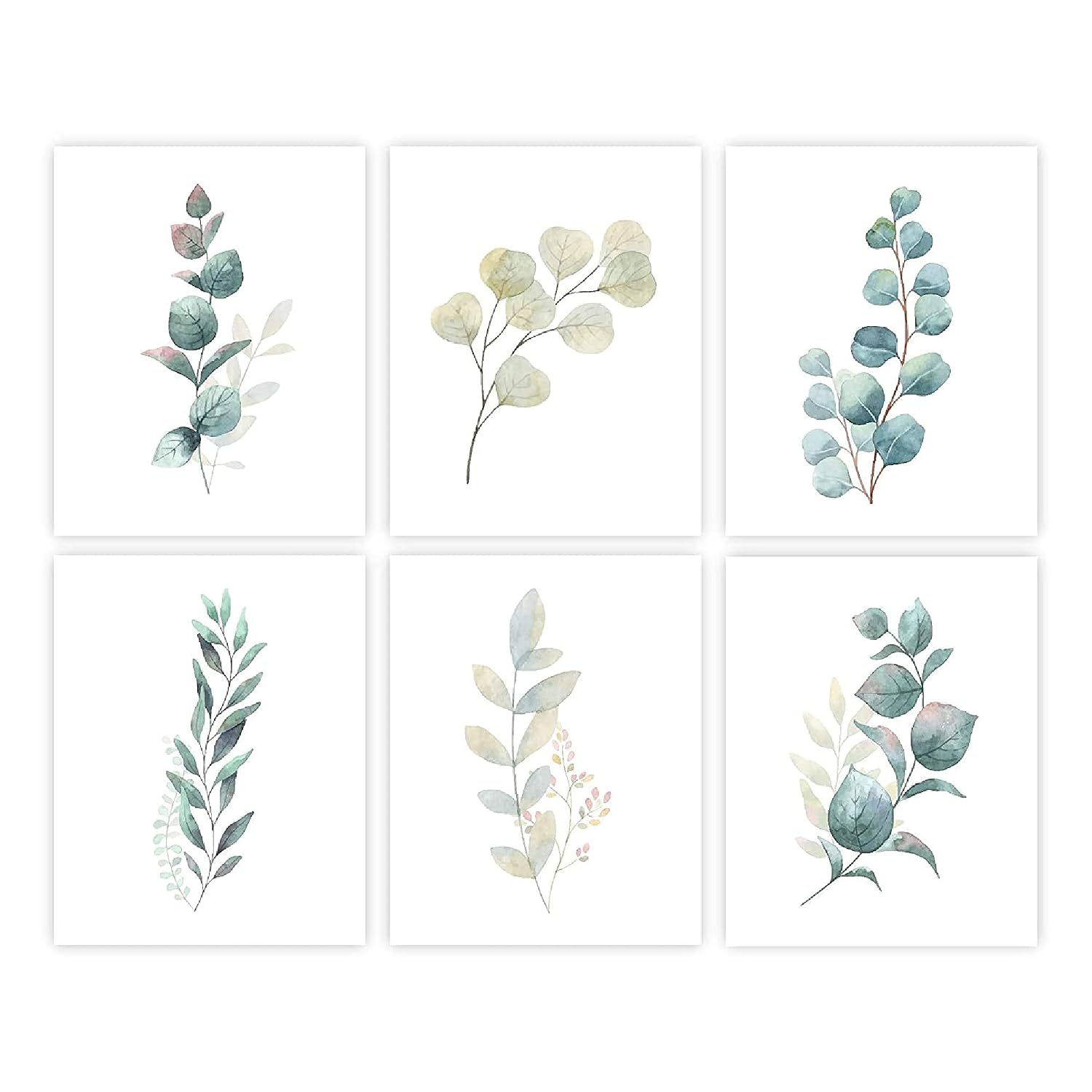 Botanical Prints Wall Art - Eucalyptus Leaves - (Set of 6) - Unframed - 8x10s