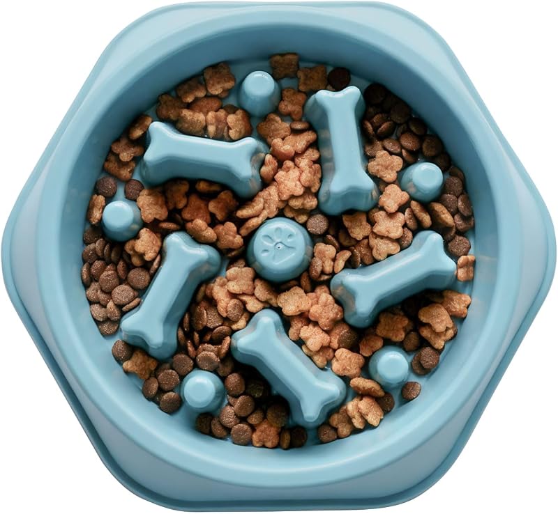 Comedouro lento para cães HFZDREDFLOW com design de alimentação gradual YY-CWW001