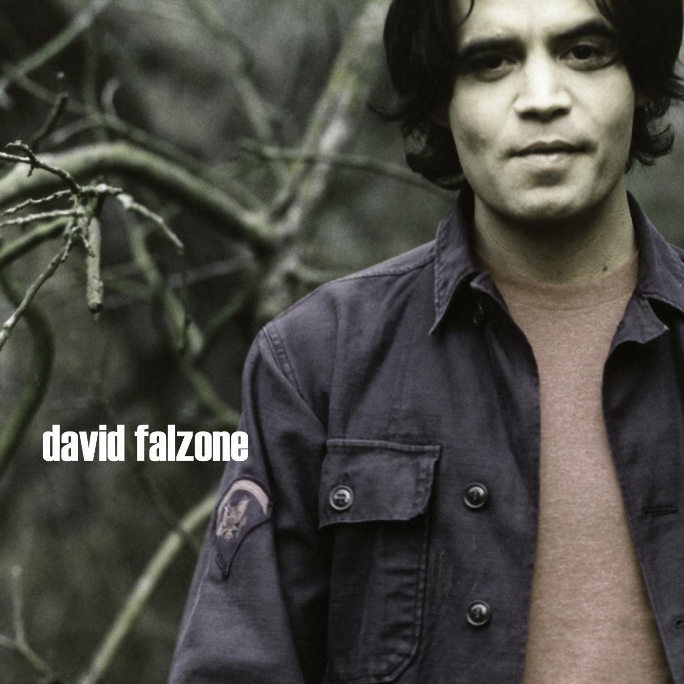 David Falzone