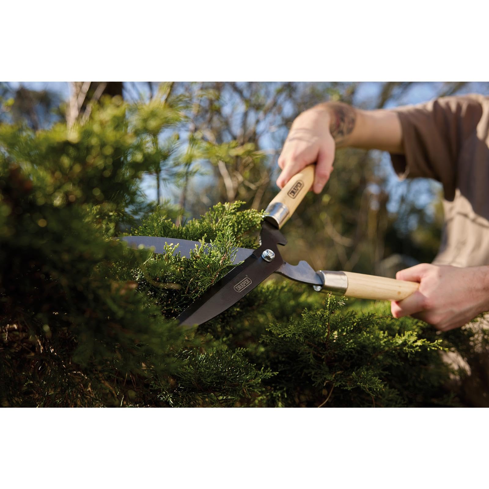Draper 36784 Cisaille de Jardin à Bord Droit avec poignées en frêne, 230 mm