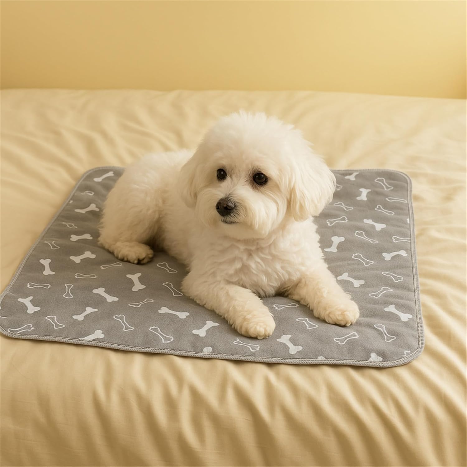 The Pee Pad Dogs Actually Use, 4-Layer Leak Protection Washable Pee Pads, Easy to Clean & Reusable (A,XL(35.4" x 55.1"))