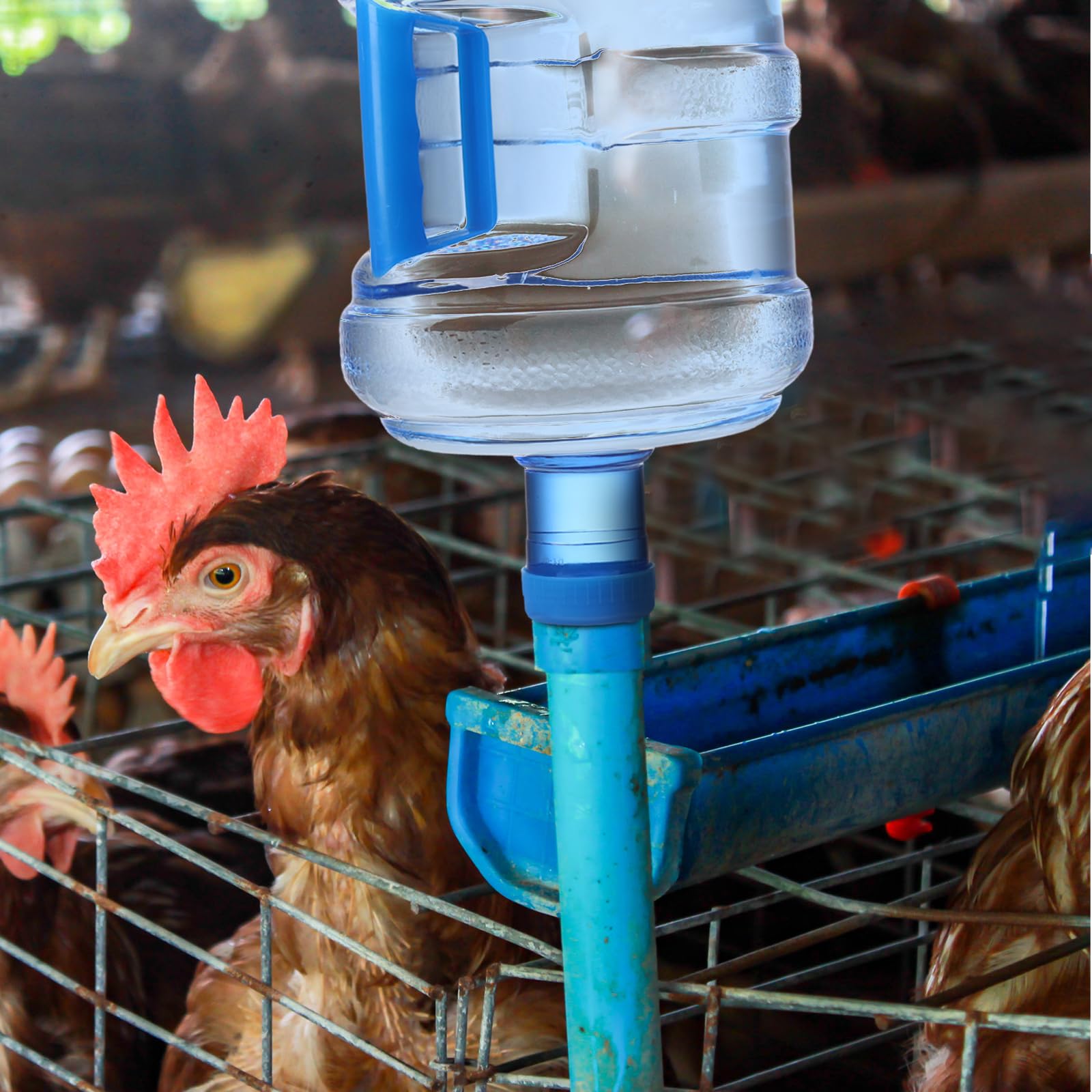 Kisangel 7.5L Water Bottle | 2 Gallon Plastic Water Jug With Handle For Camping & Travel