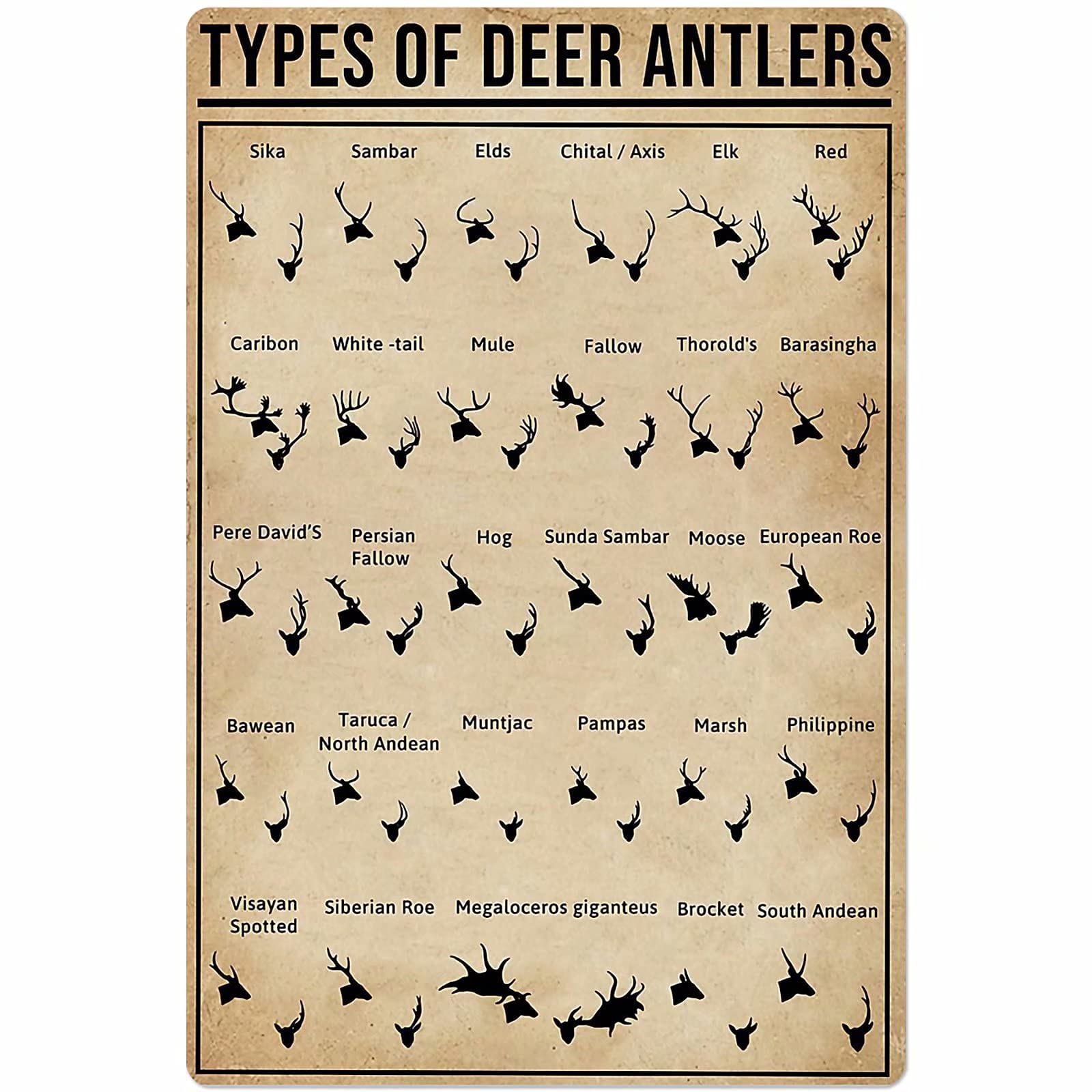 Deer Antlers Types Posters Wall Decor Metal Signs Retro Popular Science Knowledge Home Decor Room Decor Printing Plaque Club Decor 8x12 Inches