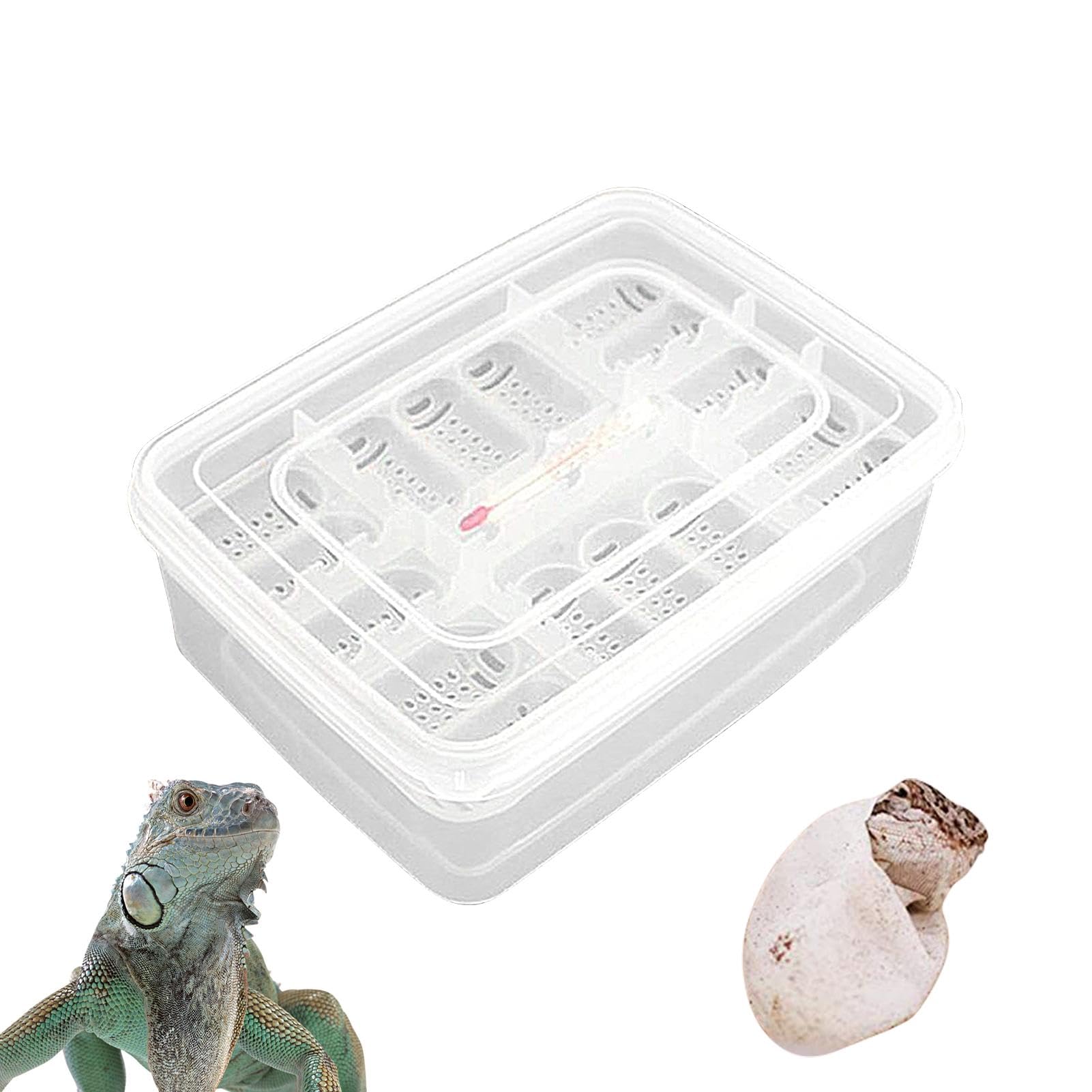 Wpsagek Reptile Breeding Box - 16 Grids Transparent Reptile Egg Breeding Hatchery Box - Incubation Box for Reptile Egg Development, Hatching Case, Hatching Tray