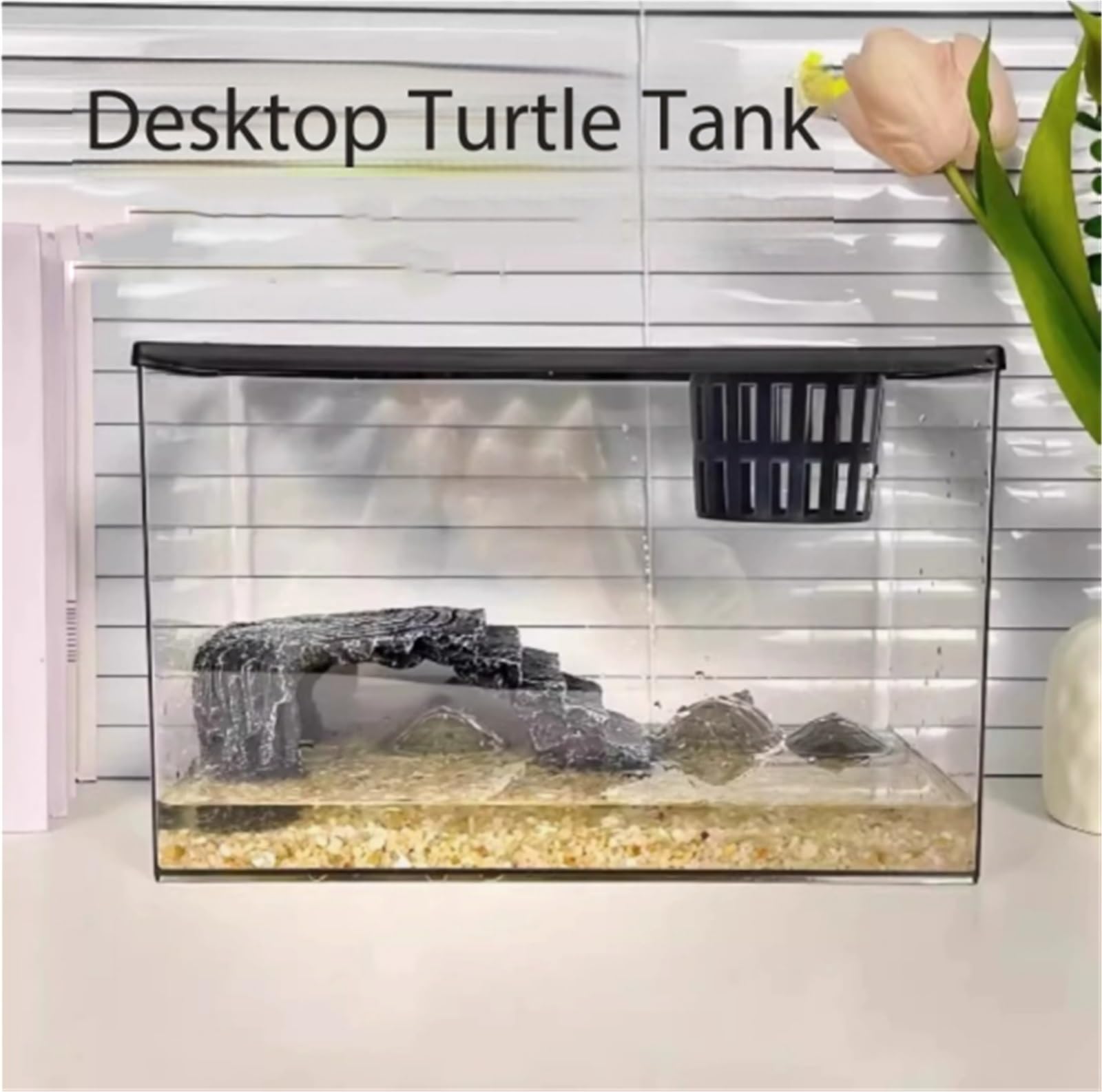 Siedlisko terrarium Zamknięty zbiornik do karmienia żółwi, przezroczysty, mały pulpit Terrarium akwariowe