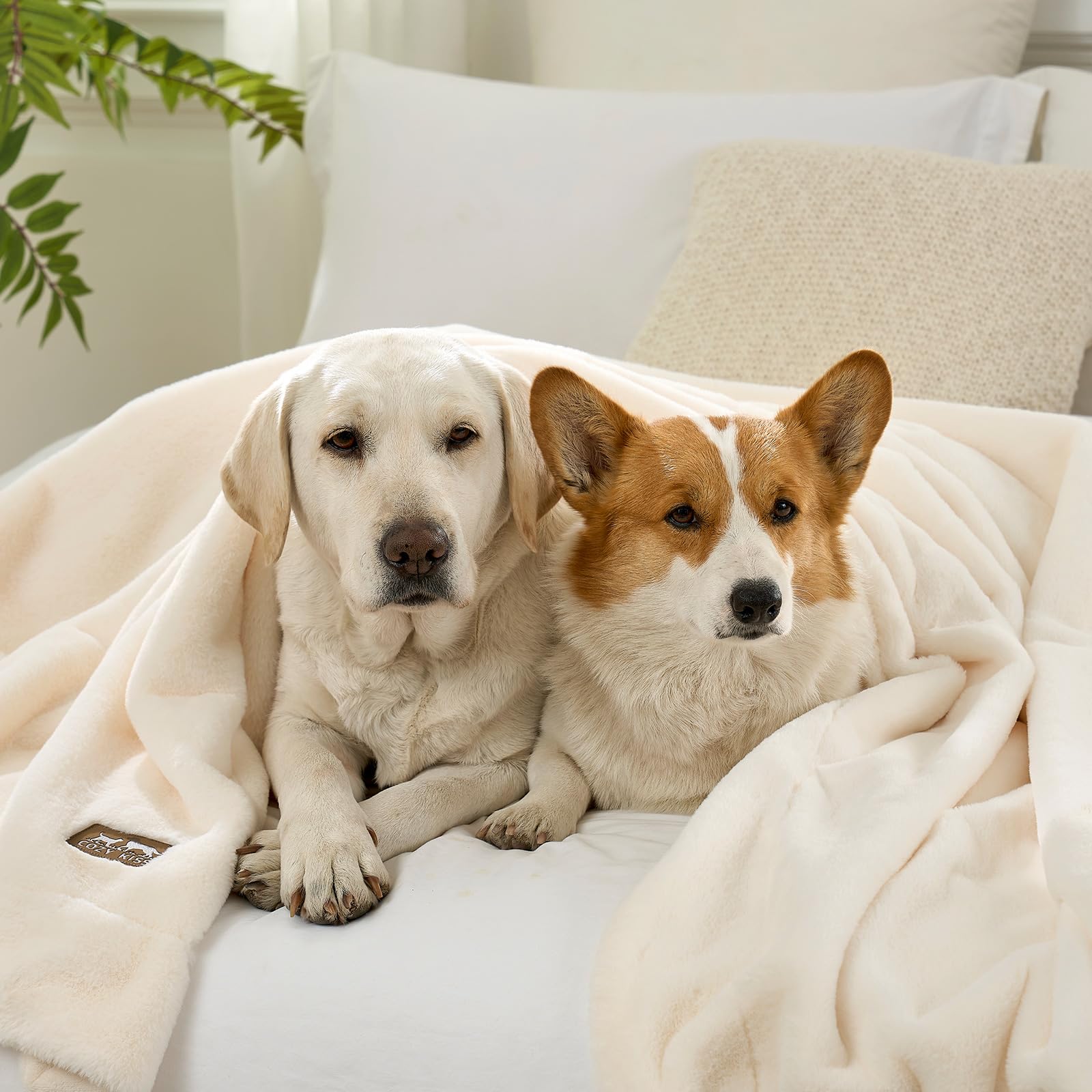 COZY KISS Manta Impermeable de Piel Sintética, Manta para sofá, Cama y Asiento Trasero del Coche, Cubierta Protectora para Mascotas para Perro Grande o Gato, Reversible, Ultra Suave, 127x150cm, Beige