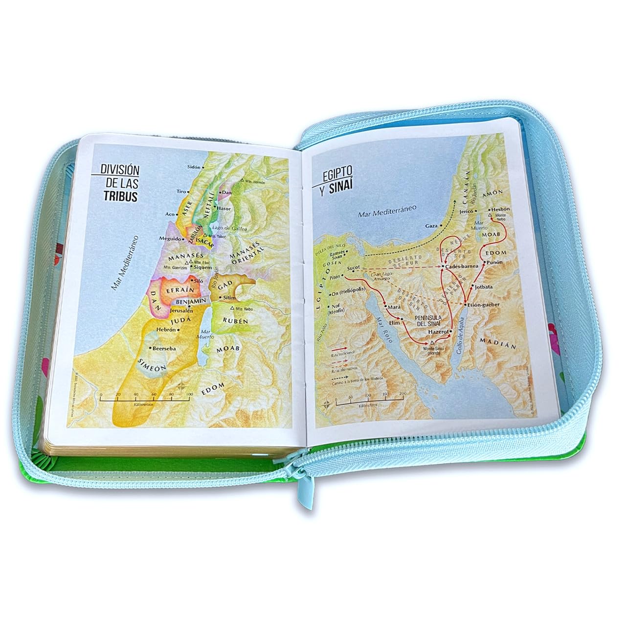 Biblia de Tamaño Bolsillo con Cierre RV1960 celeste floral con ave para mujeres      Imitation Leather – June 12, 2025